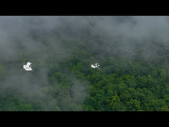 シリコーンのお弁当箱